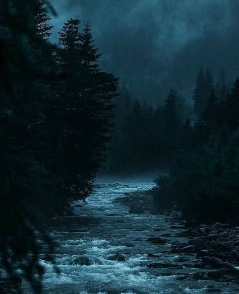 Dark Naturalism, Dark Forest Aesthetic, Dark Landscape, Foggy Forest, Dark Nature Aesthetic, Misty Forest, Pretty Landscapes, Fantasy Paintings, Dark Photography