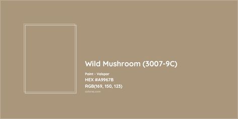 HEX #A9967B Wild Mushroom (3007-9C) Paint Valspar - Color Code Valspar Mushroom Paint Colors, Pantone Tcx, Valspar Colors, Analogous Color Scheme, Rgb Color Codes, Paint Color Codes, Hexadecimal Color, Mushroom Paint, Rgb Color Wheel