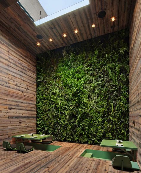 Vertical Garden Design, Vertical Gardens, Garden Birthday, Meteor Garden, Patio Interior, Dylan Wang, Wall Garden, Japanese Interior, Living Wall