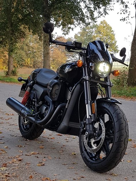 Harley Davidson Street Rod 750, Harley Davidson Street 750, Harley Street 750, Harley Davidson Street 500, Street 500, Street 750, Harley Bikes, Harley Davidson Street, Street Rod