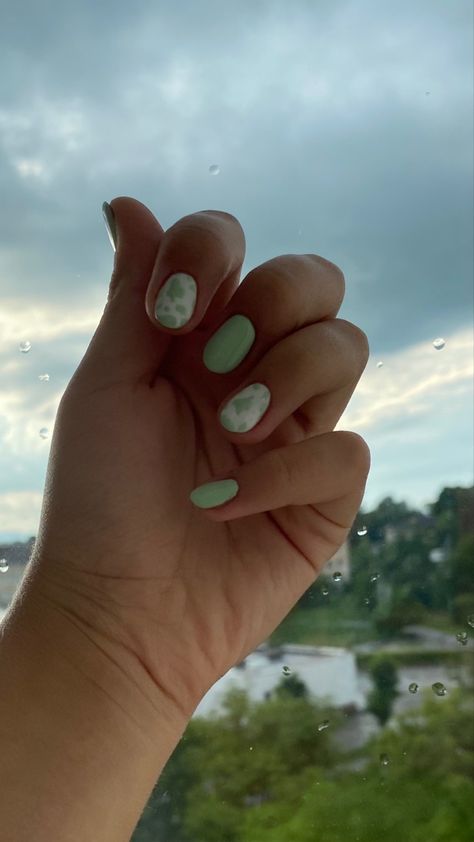 Cows Nails, Green Cow Print Nails, Green Cow Print, Cow Print Nails, Cow Nails, Nails Green, Print Nails, Animal Print Nails, Green Nails