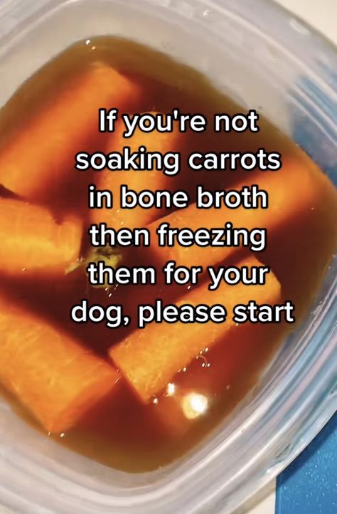 Frozen Carrot Dog Treats, Carrots In Bone Broth For Dogs, Bone Broth Carrots For Dogs, Beef Broth Dog Treats, Cold Dog Treats Homemade, Dehydrated Pet Treats, Carrot Bone Broth Dog Treat, Homemade Pet Treats Dog Food Recipes, Dog Carrot Treats