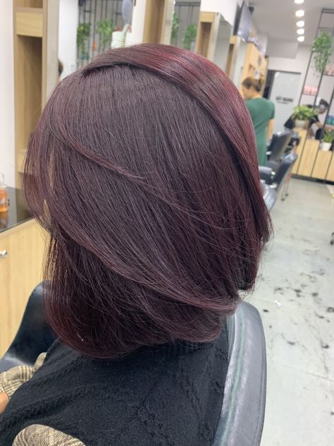 Plum Hair Bob, Plum Bob Haircut, Short Cherry Brown Hair, Burgundy Bob Hair, Short Dark Red Hair Burgundy, Hairstyles 2 Buns, Brown Hair Fade, Dark Red Hair Burgundy, Cherry Brown Hair