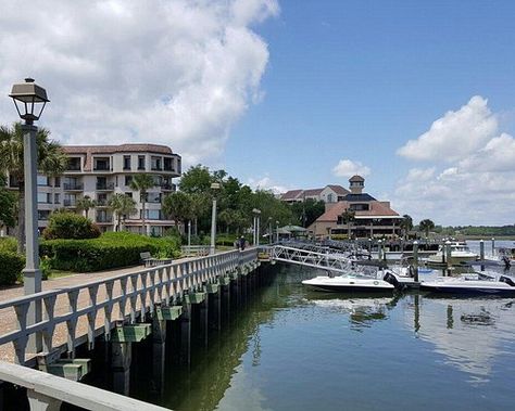 Things To Do For Free, Coastal South Carolina, Hilton Head South Carolina, Discovery Museum, Waterfront Dining, Harbour Town, Honeymoon Spots, Free Entry, Hilton Head Island