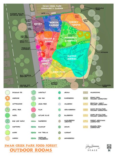 Food Forest Design - Swan Creek Park Food Forest Small Food Forest, Food Forest Design, Edible Ferns, Edible Forest, Pasta Food Recipes, Forest Gardens, Recipes Chili, Food Forest Garden, Cake Pizza