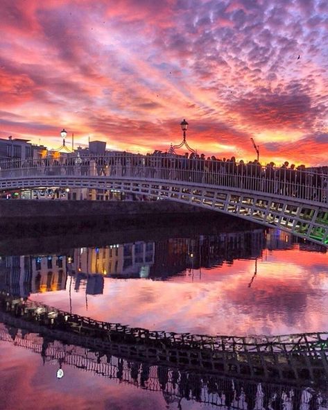 Have you ever seen Dublin looking so spectacular? Tap this image to visit our Instagram account for more stunning Ireland travel photography. Dublin Bridge, Backpacking Europe, Amazing Sunsets, Europe Travel Destinations, Europe Travel Tips, Ireland Travel, Wanderlust Travel, Dublin, Europe Travel