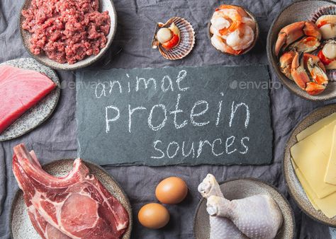 Animal Protein Sources, Diet Protein, Protein Rich Snacks, Fish Eggs, Casein Protein, Speed Up Metabolism, More Protein, Carnivore Diet, Low Carb Tortillas