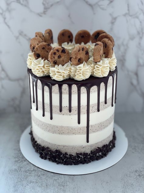 Chips Ahoy Cake, Chip Ahoy, Cake With Chocolate Chips, Pictures Of Cakes, Chips Ahoy Cookies, Vanilla Bean Cake, Chips Chips, Vanilla Bean Cakes, Bean Cake