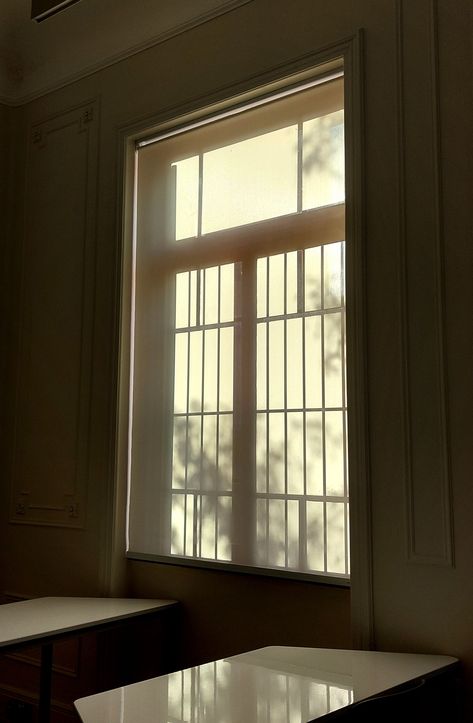 Light Academia Classroom, Academia Aesthetic Modern, Academia Classroom, Academia Pfp, Fairy School, Writing Projects, Light Academia Aesthetic, Morning Vibes, Woodland Fairy