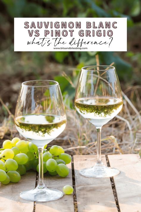 Sauvignon Blanc Vs Pinot Grigio - What's the difference? - bits and bites Bits And Bites, Types Of White Wine, White Wine Grapes, Riesling Wine, Sauvignon Blanc Wine, Pinot Noir Grapes, Fruity Wine, Pinot Blanc, Wine Snob