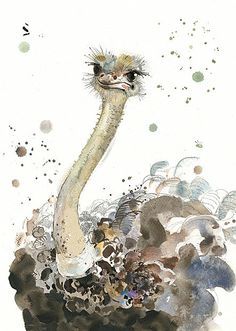 Ostrich by Jane Crowther for Bug Art greeting cards. Ostrich Watercolor Paintings, Ostrich Illustration, Ostrich Painting, Ostrich Art, Bird Watercolor Paintings, Bug Art, Watercolor Bird, Watercolor Animals, Cool Art Drawings