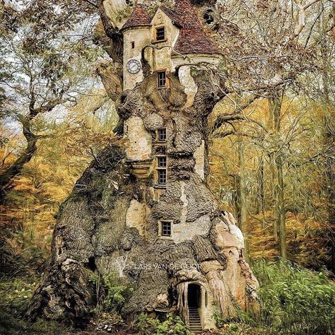 Abandoned Treehouse, Hobbit Garden, Casa Fantasy, Houses Art, Abandoned Hotels, Mysteries Of The World, Egypt History, Hobbit House, Mystery Of History