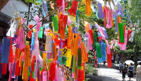 Wish Trees. In various cultures people put their wishes or offerings on trees, as they are believed to be nature's greatest deity. Tanabata Festival, Star Festival, Japanese Festival, Wishing Tree, Star Crossed Lovers, Japan Culture, Tokyo Travel, Sumi E, Okinawa