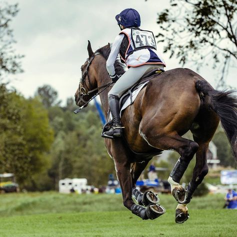 Cross Country Riding Aesthetic, Cantering Horse, Riding Exercises, Competition Board, Bay Horses, Cross Country Jumps, Amazing Horses, Horse Ideas, Eventing Horses