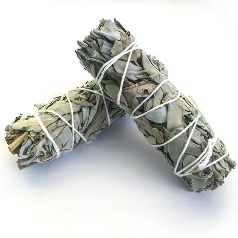 SAGE SMUGE STICKS PACK OF 2 STICKS Smudging is an ancient art that is believed to have been practiced by Native Americans for centuries. It's the name given to the ceremonial, daily act of cleansing and purification which uses a selection of herbs, often sage, which are bundled together with string to form a smudge stick before being ignited. The smoke that's emitted from the herb bundle is believed to cleanse negative energy and purify living spaces, as well as people and even objects like tool Home Cleansing, White Sage Smudge, Sage Smudge, Spiritual Cleansing, Sleeve Ideas, Black Seed Oil, Smudge Sticks, White Sage, Ancient Art