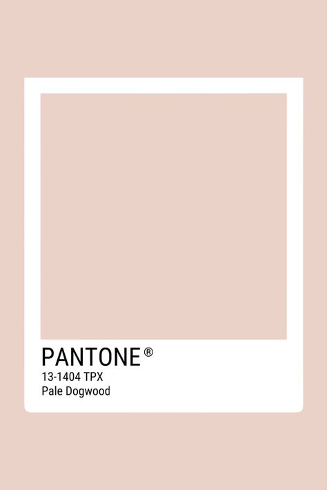 Pantone Champagne, Tcx Pantone, Pale Dogwood, Color Pantone, Champagne Pink, Color Pallete, Polymer Clay Resin, Pink Champagne, The Label