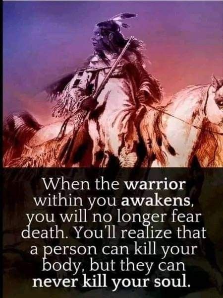 Warrior Soul, Spirit Warrior, Native Quotes, American Indian Quotes, American Proverbs, Native American Prayers, Native American Proverb, Native American Spirituality, American Quotes