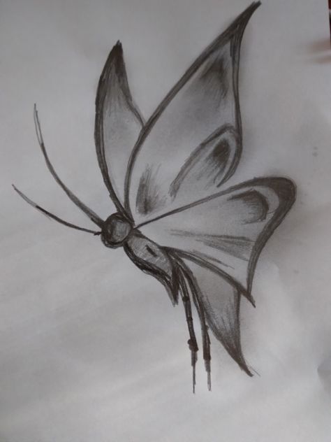 Butterfly Drawing Detailed, Nature Study Drawing Sketch, Art Sketches Butterfly, Easy Drawing Butterfly, Aesthetic Butterfly Sketch, Nature Drawings Simple, Butterfly Drawing Pencil, Unique Drawings Creative Sketch, Sketch Of Butterfly