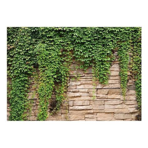 Exterior wall ideas