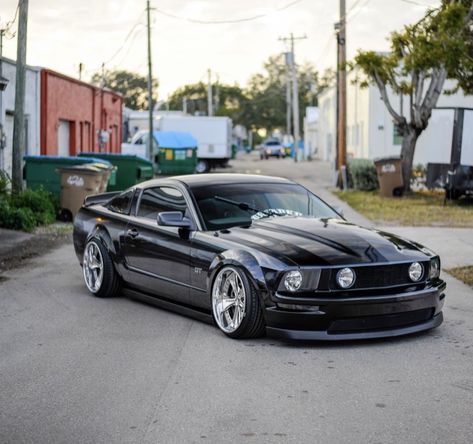 3v Mustang Gt, 05 Mustang, Gt 500, Japanese Sports Cars, Dodge Trucks, Mustang Gt, Custom Cars, Sports Cars, Muscle Cars