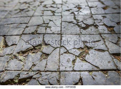 Old Victorian cracked and broken tiled floor. - Stock Image Dnd Tools, Castle Environment, Diorama Techniques, Broken Concrete, Weather Stones, Abandoned Architecture, Realistic Games, Victorian Floor, Tiled Floor