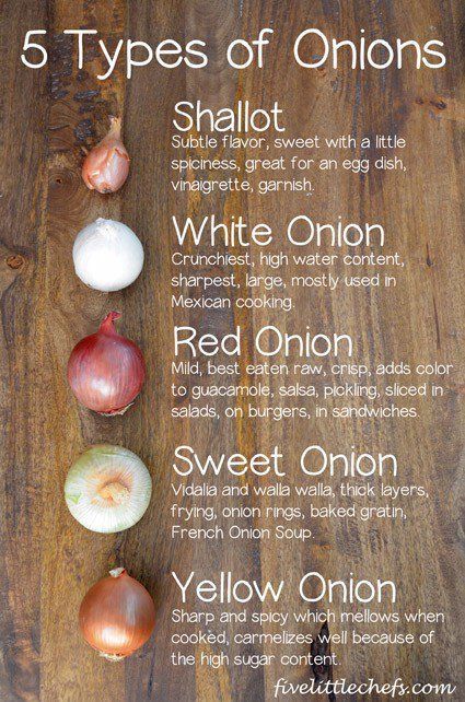 Common questions and answers to onions. #kidscooking #cookingschool Types Of Onions, Chef Boyardee, Mexican Cooking, Cooking 101, Food Charts, Think Food, Food Info, Cooking Basics, Cooking Hacks