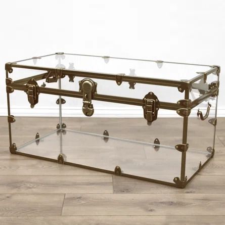 Rhino Trunk and Case Acrylic Accent Trunk | Wayfair Accent Trunk, Furniture Lighting, Cookware, Trunk, Sweet Home, Lighting, Free Shipping, Furniture, Quick Saves