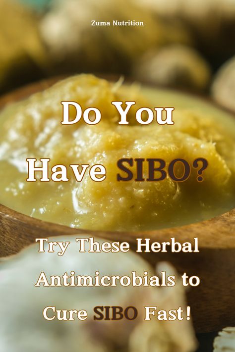 Among the many herbal antimicrobials available, several have shown promise in the management of SIBO, particularly in cases where methane-dominant SIBO is present. Methane-dominant SIBO is characterized by an overgrowth of methane-producing bacteria in the small intestine and is associated with constipation and slower gut motility. Gut Motility, Healthy Microbiome, Gut Health Recipes, Gut Health, Healthy Tips, Health Food, Health Tips, Food And Drink, Good Things