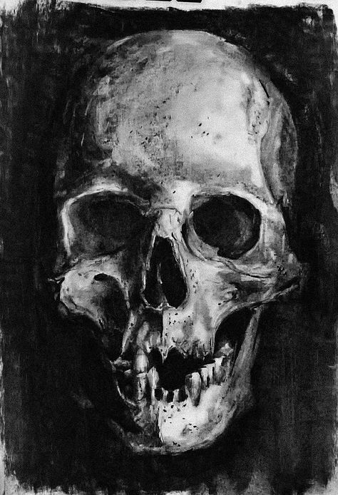 Charcoal Skull, Pencil Drawing Ideas, David Zinn, Skull Sketch, Skull Sleeve Tattoos, Skeleton Drawings, Universal Consciousness, Art Charcoal, Skulls Drawing