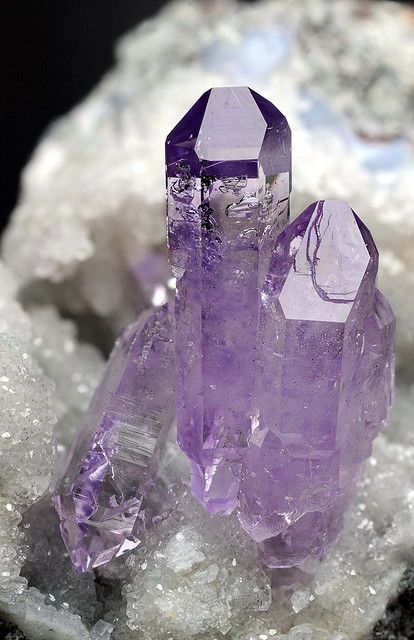 amethyst  Locality: Osilo, Sassari Prov., Sardinia, Italy Pretty Rocks, Crystal Magic, Beautiful Rocks, Pretty Purple, Mineral Stone, Minerals And Gemstones, Rocks And Gems, Purple Crystals, Energy Crystals