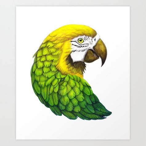 Green Macaw Art Print by sanjanabaijnath | Society6 Green Macaw, Macaw Art, Parrot Drawing, Desen Realist, Parrots Art, Colored Pencil Artwork, Art Drawings Sketches Pencil, Haiwan Peliharaan, Pencil Art Drawings