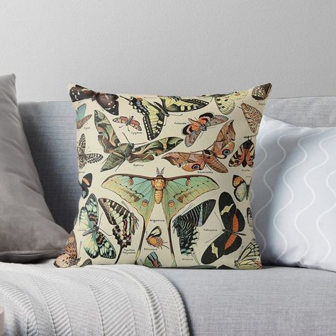 Get my art printed on awesome products. Support me at Redbubble #RBandME: https://www.redbubble.com/i/throw-pillow/Vintage-French-Illustration-Butterflies-Adolphe-Millot-by-koovoxdogs/55472389.5X2YF?asc=u Aesthetic Moth, Moth Decor, Illustration Butterflies, Fairycore Decor, Adolphe Millot, French Illustration, Insects Theme, Butterfly Pillow, Cute Bedding