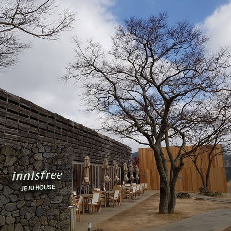 “Innisfree Jeju House” Jeju House, Travel