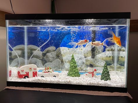 Christmas Fish Tank Decoration, Christmas Fish Tank, Aquarium Scaping, Christmas Aquarium, Tank Terrarium, White Rocks, Fish Tank Terrarium, Small Fish Tanks, Fish Tank Design