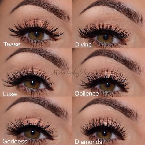 Eyelash Extensions Before And After, Eyelash Extensions Care, Lily Lashes, Eyelash Extensions Aftercare, Blusher Makeup, House Of Lashes, Applying Eye Makeup, Eyelash Extentions, Eyelash Sets