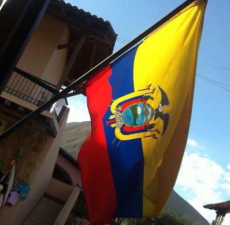 Ecuadorian flag Ecuador Aesthetic Flag, Ecuadorian Culture Aesthetic, Ecuadorian Aesthetic, Ecuadorian Culture, Ecuadorian Flag, Ecuador Flag, Quince Ideas, Quito Ecuador, Quito