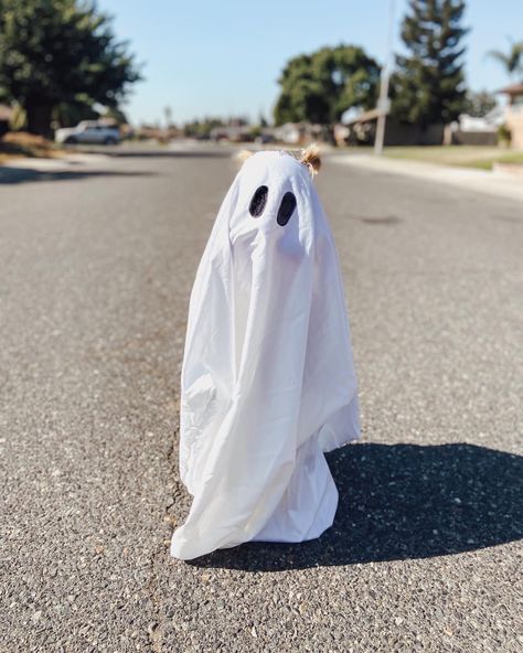 Ghost Sheet Photoshoot Kids, Toddler Ghost Photoshoot, Baby Ghost Photoshoot, Toddler Halloween Pictures Photo Ideas, Kids Ghost Photoshoot, Ghost Photoshoot Kids, Toddler Halloween Pictures, Toddler Ghost Costume Girl, Toddler Halloween Photoshoot