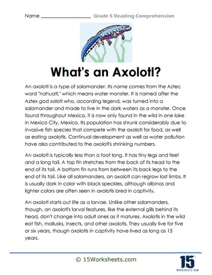 Axolotl Wonders Worksheet - 15 Worksheets.com Grade 5 Reading, Holiday Science, Kindergarten Social Studies, Aquatic Creatures, 5th Grade Reading, Reading Comprehension Skills, Reading At Home, Comprehension Worksheets, Reading Comprehension Worksheets