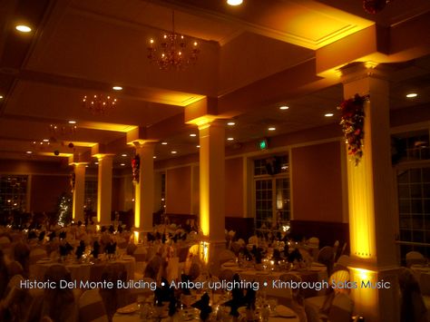 Golden yellow up lighting one of the most popular requests Wedding Uplighting Colors, Amber Uplighting Wedding, Ballroom Uplighting Reception Ideas, Lights Above Dance Floor Wedding, Amber Led Fog Lights, Navy And Gold Wedding, Color Generator, Up Lighting, 30th Bday