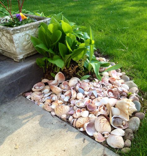 I was wondering what to do with all the seashells we had collected from our trips to the ocean. I live in the Midwest so it's fun to put them in my garden and look at them, and remember. Outdoor Beach Decor, Beach House Landscaping, Coastal Landscaping, Seaside Garden, Backyard Beach, Coastal Gardens, Front House Landscaping, Beach Gardens, Landscaping With Rocks