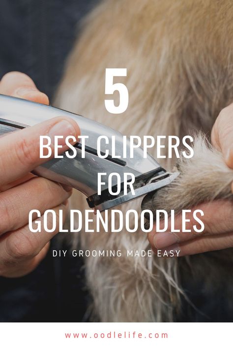 Goldendoodle Haircuts, Goldendoodle Grooming, Dog Travel Accessories, Socializing Dogs, Dog Grooming Clippers, Dog Clippers, Dog Grooming Tips, Dog Grooming Supplies, Thick Coat