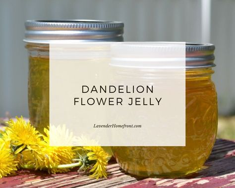 Earth Witch, First Flowers Of Spring, Flower Jelly, Jelly Sweet, Herbal Education, Farmer Market, Dandelion Tea, Dandelion Jelly, Large Mason Jars