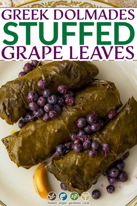 Rice Stuffed Grape Leaves, Greek Dolmades, Dolmades Recipe, Grape Leaves Recipe, Stuffed Grape Leaves, Armenian Recipes, Lebanese Recipes, Mediterranean Dishes, Mediterranean Diet Recipes