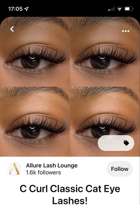 Natural Cat Eyelashes, Natural Extensions Eyelashes, Lash Extensions Natural Cat Eye, Pretty Lashes Natural, Wedding Lashes Extensions, Classic Eyelash Extensions Mapping, Natural Lash Extensions Cat Eye, Classic Lash Extensions Styles Cat Eye, Natural Eye Lash Extensions