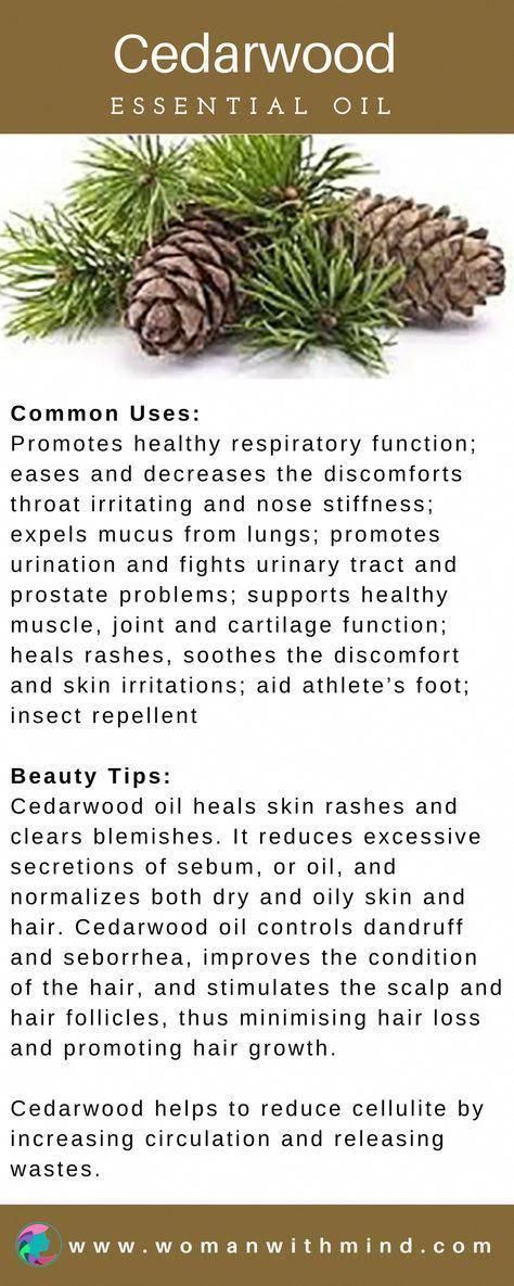 Very Helpful Essential Oil Strategies For essential oils blends for skin Essential Oils For Pain, Healing Essential Oils, Essential Oils Guide, Cedarwood Oil, Cedarwood Essential Oil, Healing Oils, Young Living Oils, Oil Uses, Aromatherapy Oils