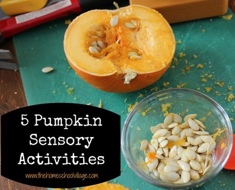 It’s that time of year where pumpkins are everywhere! Today, I am sharing 5 pumpkin sensory activities to celebrate fall! 1. Explore a Pumpkin Kids love to explore, so open up a pumpkin and let them discover what’s inside of a pumpkin. Have them use their hands to feel the pumpkin pulp and slimy seeds, … Pumpkin Sensory Activities, Pumpkin Sensory, Sensory Center, Inside Of A Pumpkin, Preschool Pumpkin, Nanny Job, Pumpkin Pulp, Preschool Homeschooling, Nanny Activities