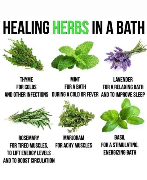 Herbal Plants And Their Uses, Herbs For Bv, Herbs Healing, Benefits Of Herbs, Herbal Remedies Recipes, Medicinal Herbs Garden, Medical Herbs, Magic Herbs, Magical Herbs