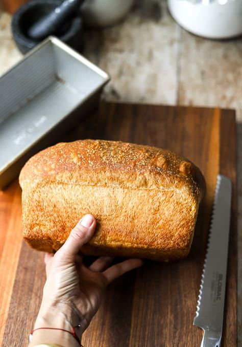 Soft Sourdough Sandwich Bread - Lion's Bread Lions Bread Sourdough, Everyday Sourdough Bread, Sweet Sourdough Sandwich Bread, Overnight Sourdough Sandwich Bread, Sourdough Overnight, Sourdough Loaf Bread, Sourdough Sandwich Recipes, Soft Sourdough Sandwich Bread, Sourdough Basics