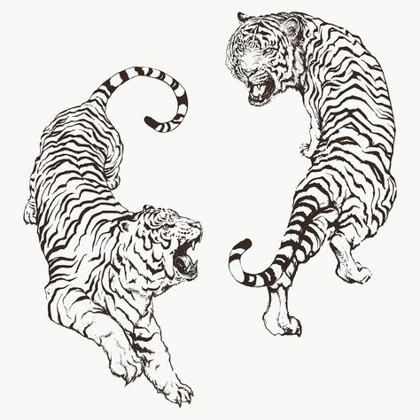 Hand drawn roaring yin yang tigers overlay | premium image by rawpixel.com Tiger Outline, White Tiger Tattoo, Art Tigre, Japanese Tiger Tattoo, Tato Naga, Japanese Tiger, Tiger Tattoo Design, Tiger Drawing, Tiger Illustration