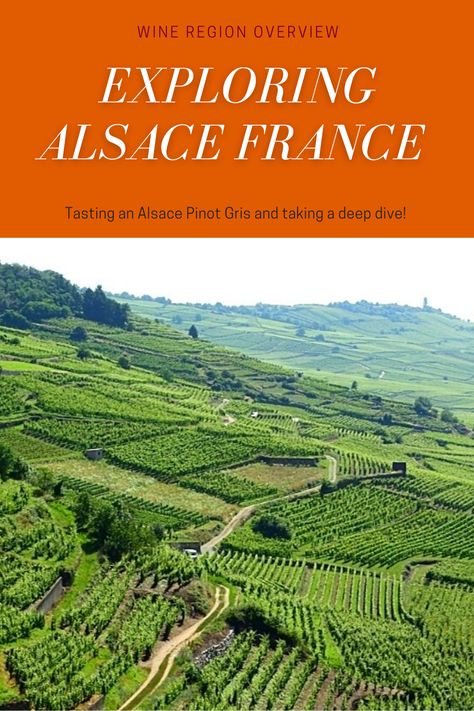 The Alsace Wine Region in France is best known for their dry white wines, especially their crisp Riesling, but they also grow all the same varietals as the German region next door. I take you through the basics of the Alsace Wine Region and dive into a Pinot Gris from the region. Grape Types, Seneca Lake Wine Trail, Alsace Wine Map, Alsace Wine Region, French Wine Regions, Wine Knowledge, Alsace France, Wine Varietals, Pinot Gris